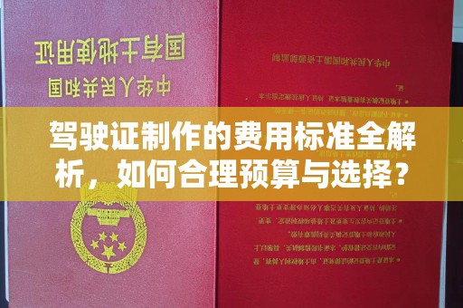 浈江驾驶证制作的费用标准全解析，如何合理预算与选择？